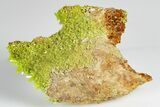 Apple-Green Pyromorphite Crystals on Matrix - China #179843-1